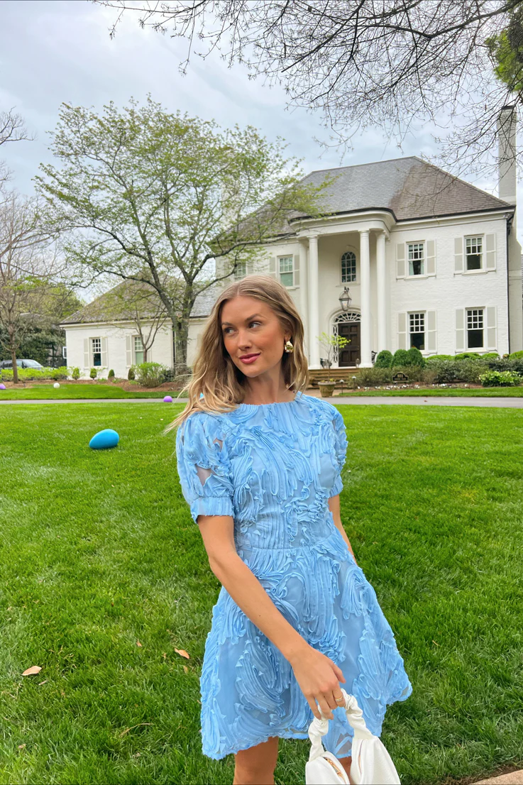 Bluebird Day Dress - Image 2