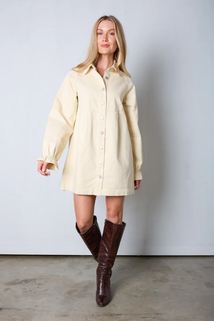 Cream and Sugar Denim Dress